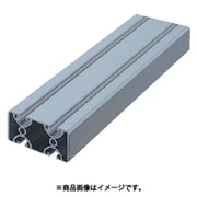 item ストラットプロファイル エコノミー型 SPE8040N2-3M