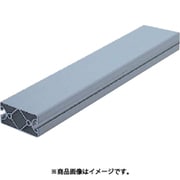 item ストラットプロファイル エコノミー型 SPE8040N4-3M