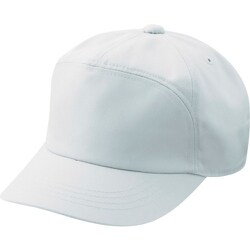 ペアキャップ TC01 シルバーグレー LL TC01-LL