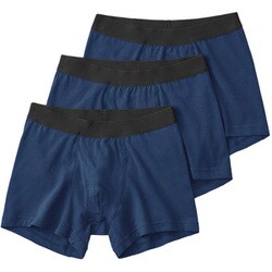 ボクサーパンツ ボクサーブリーフ（前あき）（3枚組） メンズ ネービーブルー Lサイズ GM00803Y
