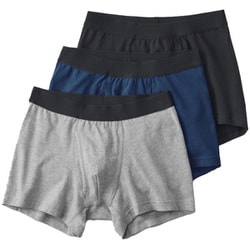 ボクサーパンツ ボクサーブリーフ（前あき）（3枚組） メンズ 9A Lサイズ GM00803Y