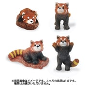 RH3936 発掘名人 レッサーパンダランド（1個） [コレクショントイ]