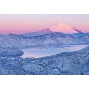 03-959 日本風景 雪積もる朝焼けの富士（神奈川） [ジグソーパズル 300ピース]