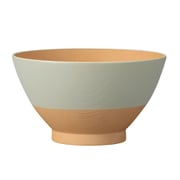 茶碗 日々色 抗菌 飯椀 ウグイス