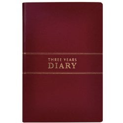 3年連用日記 A5 エンジ D1537