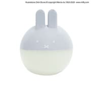 【限定】 MIFFY ミッフィー クリップケース グレー EB473GY