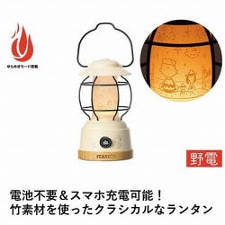 peanut出品　（バラ売） 生花】バラ(紫) 品種おまかせ【60cm/山形県】｜Flower Smith