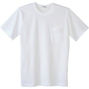 半袖シャツ ホワイト LL 10-037-LL