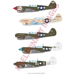 EDU82242 1/48 P-40N ウォーホーク プロフィパック [組立式プラスチックモデル]