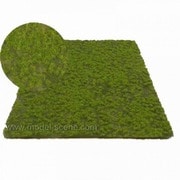 F516 MODEL SCENE タフト 18×28cm 春の小さなタフト [ジオラマ素材]
