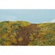 F543 MODEL SCENE 草マットプレミアム 18×28cm 土手 晩夏 [ジオラマ素材]
