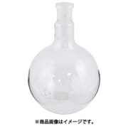 AS 3.0029.73 丸底フラスコ 4-2068-06