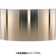 耐熱保護服 フード フリーサイズ用 ポリカーボネートバイザー ゴールド 150mm×250mm HWS1525PCG