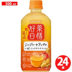 薬膳好日 飲んで温活 ジンジャー＆アップル 500ml×24本