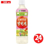 すもも 山梨県産 500g×24本 ニッポンエール