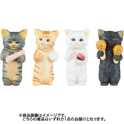 花房さくらのねこの音楽会 ボックストイ版（1個） [コレクショントイ]