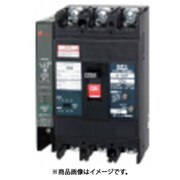 テンパール 漏電遮断器:経済タイプ 103EC07100L4S