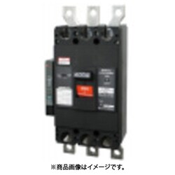 テンパール 漏電遮断器:経済タイプ 103EC07200L4