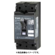 テンパール 漏電遮断器:経済タイプ 103EC10W2F
