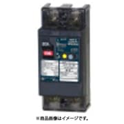 テンパール 漏電遮断器:経済タイプ 123EC06100L4