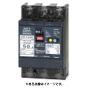 テンパール 漏電遮断器:経済タイプ 53EC15304F