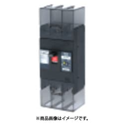 テンパール 漏電遮断器:経済タイプ 222EA12W2S