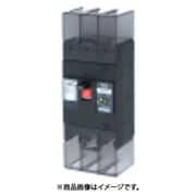 テンパール 漏電遮断器:経済タイプ 222EA15W2F