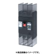 テンパール 漏電遮断器:経済タイプ 222EA2030F
