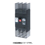テンパール 漏電遮断器:経済タイプ 222EA2230F