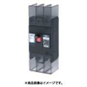 テンパール 漏電遮断器:経済タイプ 222EA22W2L