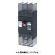 テンパール 漏電遮断器:経済タイプ 222EA22W2LF