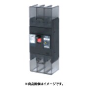 テンパール 漏電遮断器:経済タイプ 222EA22W2LS