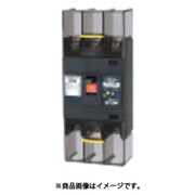 テンパール 漏電遮断器:経済タイプ 223EA12W2LS