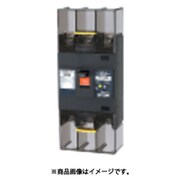 テンパール 漏電遮断器:経済タイプ 223EA1730F