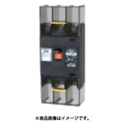 テンパール 漏電遮断器:経済タイプ 223EA17W2F