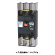 テンパール 漏電遮断器:経済タイプ 253EA2530F