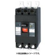 テンパール 漏電遮断器:経済タイプ 403EA25W2F