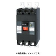 テンパール 漏電遮断器:経済タイプ 403EA3030F