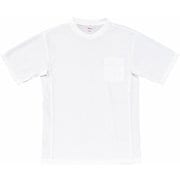 シャツ ホワイト 4L 47684-037-4L