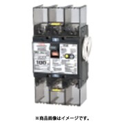 テンパール 漏電遮断器:欠相保護付 U10301KC072L
