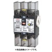 テンパール 漏電遮断器:欠相保護付 U10301KC615V