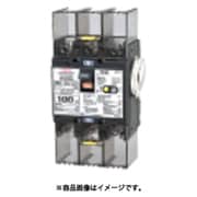 テンパール 漏電遮断器:欠相保護付 U10301KC7100LV