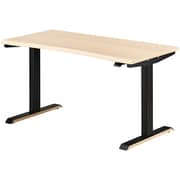 GENTLER（ジェントラー）電動昇降デスク 幅120cm 2本脚 ワークデスク PCデスク ゲーミングデスク 昇降 ナチュラル 白 黒 KWD-570 WWBK