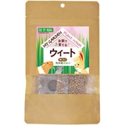 マイガーデン 牧草栽培セット ウィート
