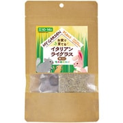 マイガーデン 牧草栽培セット イタリアンライグラス