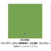 Nゲージ 車両ケース CS-858 ライトグリーンの12両用車両ケースB 硬質・ライトグレー [鉄道模型アクセサリー]