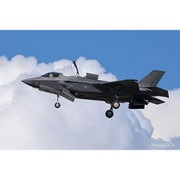 TPA-58 1/72 航空自衛隊 F-35B ライトニングII 新田原基地 第202飛行隊 [組立式プラスチックモデル]