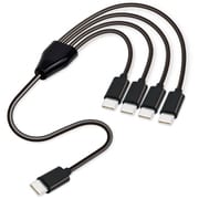 4in1 USB Type-C分岐ケーブル 0.5m ブラック JT-4IN1CC05-BK