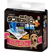 クリーンワン 消臭炭シート ダブルストップ プラス 速乾ドライ ワイド 40枚