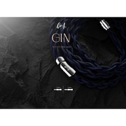 アップグレードケーブル GIN GIN 2pin
